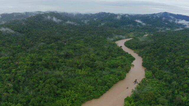 Aerial panning shot around a large tropical river in the rainforest: a nature background of a tropical forest in the Amazon of Ecuador, South America