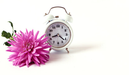 The concept of a good autumn morning. A white alarm clock and a pastel dahlia next to it on a light background, close-up, space for text