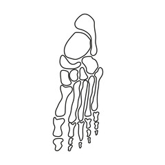 halloween scary bones skeleton