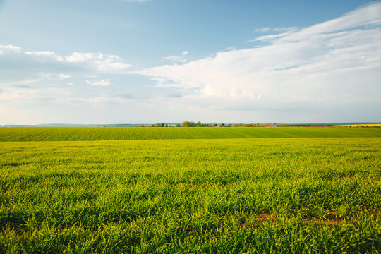 Scenic view of green rural land and cultivated fields.