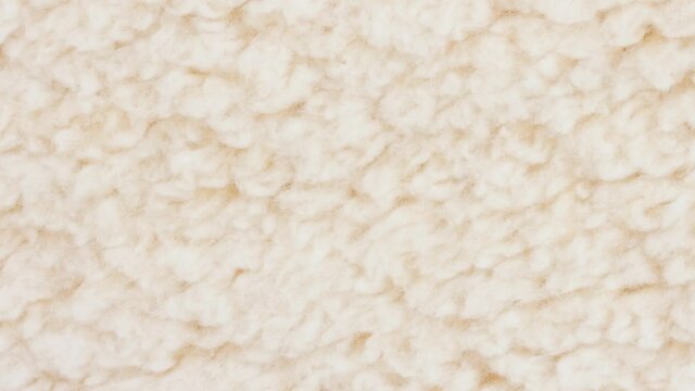 Amination beige sherpa textured fabric background