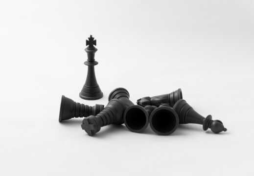 Chess Pieces. King. Photograph isolated on white background