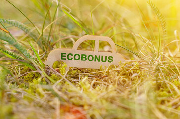 There is a wooden car in the grass that says - ECOBONUS