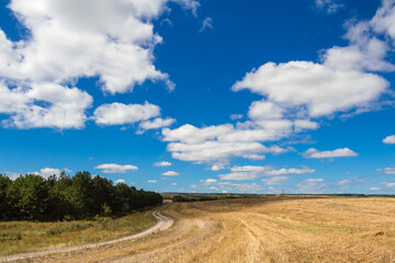 Fototapeta na wymiar A golden mown field, a country road stretching into the distance against a blue sky with beautiful white clouds.