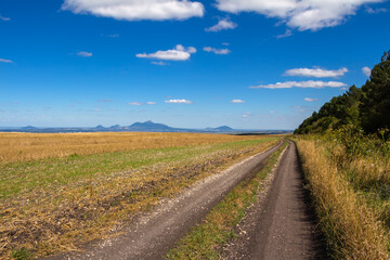 Fototapeta na wymiar Empty country road stretching into the distance, mountains on the horizon against a blue sky with white clouds.