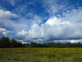 Obraz premium clouds over the field