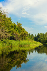 Fototapeta premium beautiful view of the river and the lush green vegetation around