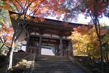Fototapeta premium 秋の金剛輪寺 二天門 滋賀県愛知郡愛荘町