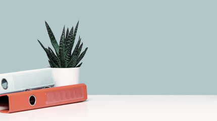 orange document binders or lever arch file on an office shelf or desk. Cactus succulent in a pot....