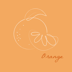 Orange icon. Orange and half of orange fruit in line art style. Illustration of orange for packaging design, cosmetics, advertising, sweets, food, for cover, print. Vector illustration.