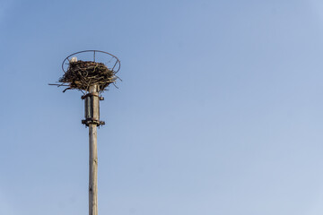 View of an empty stork nest