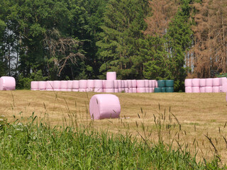 Siloballen auf einer Wiese in Norddeutschland