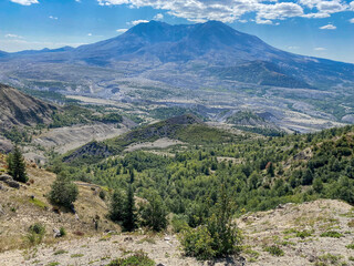 Fototapeta premium Mt St. Helens