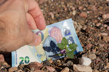 Twenty euro bill buried in soil ground by small green plant. Property money investor, land...
