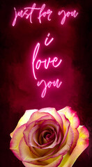 Beautiful wallpaper Just for you with neon light