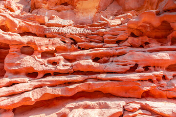 Colored Salam canyon in the Sinai Peninsula, beautiful curved limestone stones.
