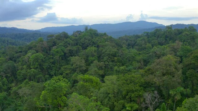 Nature background of a tropical forest: Aerial view over a rainforest in the Amazon of South america