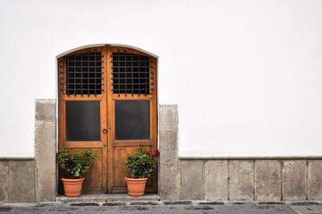 Puerta de madera en una pared blanca, con plantas verdes en Antigua Guatemala.