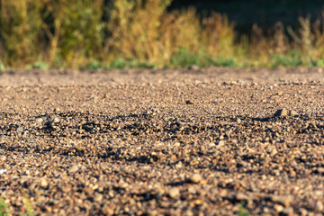 Gravel road in the village, close up.
