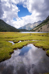 the cloudy sky reflected in a pond near a lake in a mountain landscape in the Pyrenees of Lleida, Estany Llong, Aiguestortes, Spain
