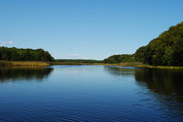 Obraz na płótnie Canvas Calm river landscape with a clear blue sky