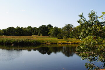 Fototapeta na wymiar Calm river landscape with a clear blue sky