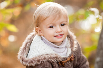 portrait of a little blond boy in a knitted sweater in autumn. High quality photo