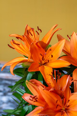 bouquet of orange Asiatic lilies on yellow background