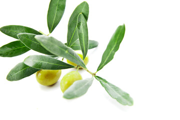 Olives with leaves on branch isolated over white