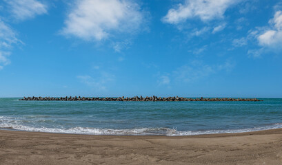初秋　日本海　浜辺の風景
