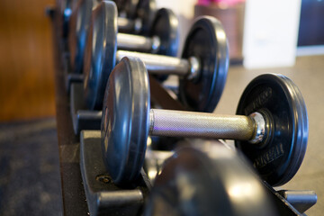 dumbbells, fitness equipment and accessories, sport, healthy
