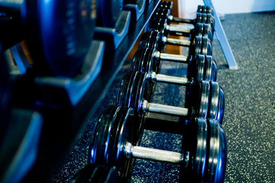 dumbbells, fitness equipment and accessories, sport, healthy
