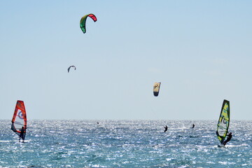 SURFERS