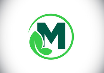 Initial M monogram alphabet with leaf. Eco-friendly logo concept. Font emblem. Modern vector logo for ecological business and company identity