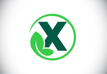 Initial X monogram alphabet with leaf. Eco-friendly logo concept. Font emblem. Modern vector logo for ecological business and company identity