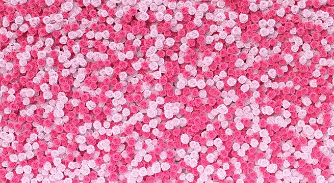 Pink and white roses wall background. 