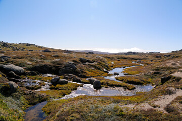 landscape with rocks