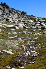 mountain river in the mountains