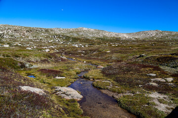 landscape with blue sky
