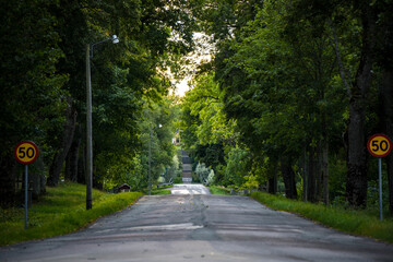 Stromsholm, Sweden A tree-lined road in the countryside.