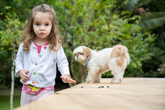 menina de 2 anos de idade, cabelos compridos, brincando feliz no jardim com seu cachorro de estimacao. Diversão de criança.