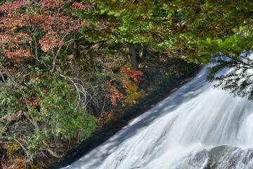 横から眺める豪快な湯滝の流れと紅葉のコラボ情景＠奥日光、栃木
