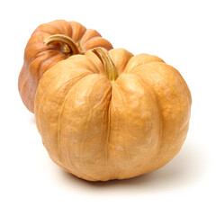 Orange pumpkin on white background 