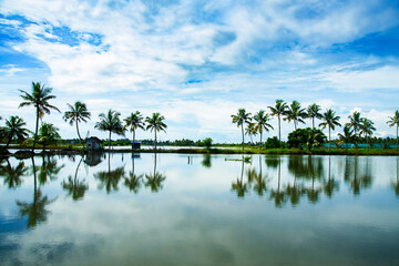 Palm trees and small huts reflections, Kerala backwaters photography during day time Kadamakkudy Kerala, Stripe of coconut trees between a cloudy sky and river.