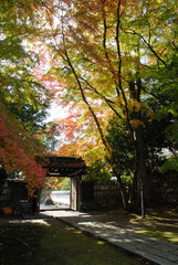 秋の坂本　慈眼堂山門　滋賀県大津市坂本