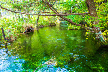 上高地　北アルプスの玄関口