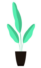 Vector illustration of a flat design template Leaf plant in a pot. 3000 x 5000 pixels perfect. editable colors.