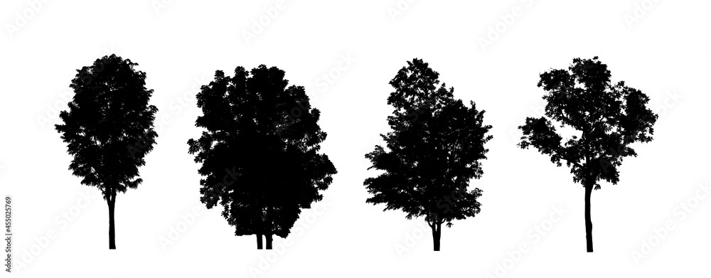 Poster set of trees silhouette for brush on white background
