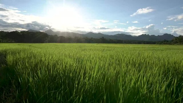 Clouds, sky, meadows, grass blown by the wind, sunlight and evening shadows. sunset behind mountains