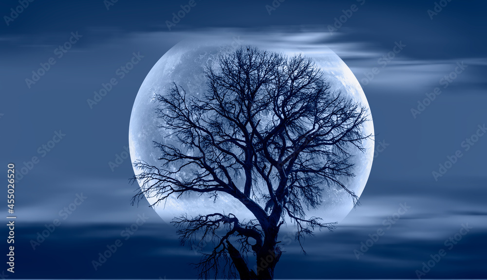 Poster lone dead tree with super full blue moon, amazing clouds in the background 